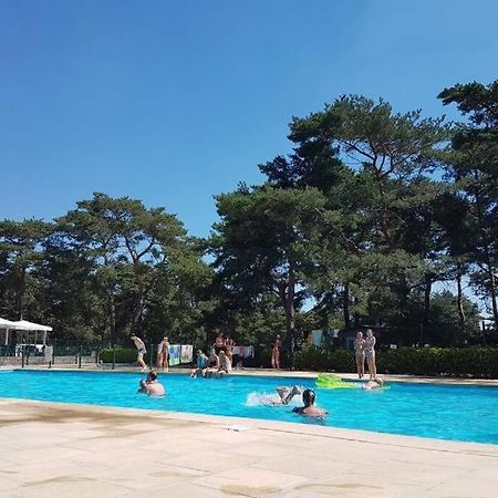 " Casitacuriosa " Chalet Op Camping Met Buitenzwembad Balen Dış mekan fotoğraf