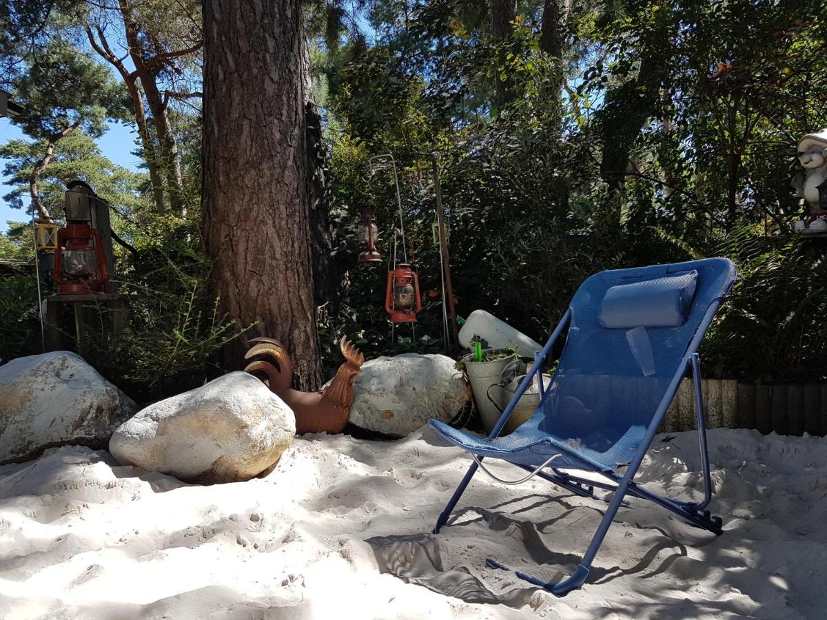 " Casitacuriosa " Chalet Op Camping Met Buitenzwembad Balen Dış mekan fotoğraf